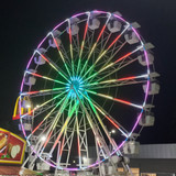 Carina Biagioni Martins