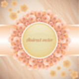 Rosemei de Jesus Costa