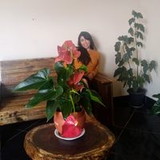 Gislei Muniz Ferreira