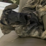 Luciana Gonçalves Sallum