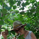 Regina Helena de Souza Santos