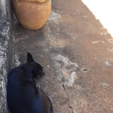 maria francielle garcia