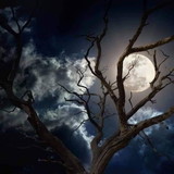 EZEQUIAS NASCIMENTO DUARTE