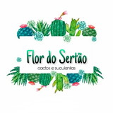 Flor Do Sertão (cactos e suculentas)