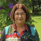 vera lucia da costa ide