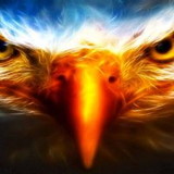 MARCOS ANTONIO MAGALHAES PAIVA