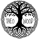 paulo henrique theodoro