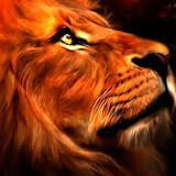 HARLLEY SOUZA DE OLIVEIRA