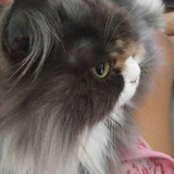 Édipo Lopes do Nascimento