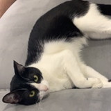 Alessandra Nascimento