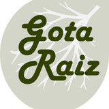 Tathiane Alem de Lima Santana