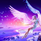 Daniela de fatima berni