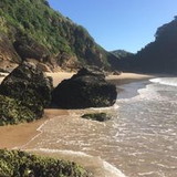 Gerson Zambon Gonçalves