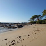 ELISA GALVÃO DA SILVA