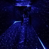 Fernanda Silva de Oliveira