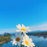 Bruna celly Alves da Silva