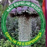 Wilma Aparecida Bianchini Bianchini