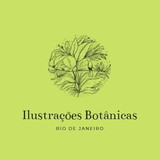 julia de almeida rocha