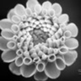 Carmen Lucia Cruz Correa