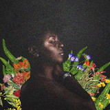 LARISSA CHAGAS DA SILVA