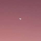 Renata Gruber Pereira