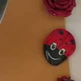 Maria de fatima gadelha