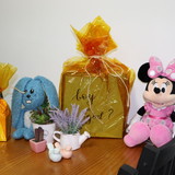 Marjorie Bezerra de Menezes