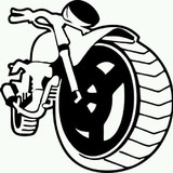 luciano carlos polli