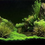 fabio de arcanjo macedo