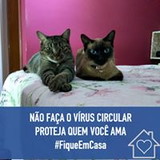 Claudia Almerinda Santos