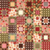 Cristiane Assis dos Santos