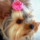 Juliana Villa Romantini