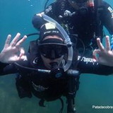 Carina Schulte Ulguim