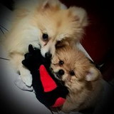 Keroly mara do Nascimento