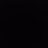 Otávia Vidal Vasconcelos