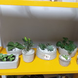 Diego Rodolfo Munhoz