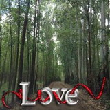 Sueli Soares da Silva