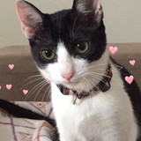 Ana Carolina de Faria