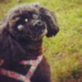 Monise de Bettio Topanotti