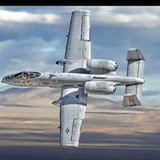 Vera Lucia Carvalho da Silva