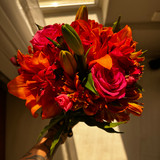 Anna Carolina Tapigliani