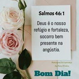 Priscila  Cavalcante  Malavasi