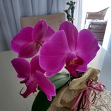 Rafaela Bueno Pínola