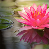 Flavia Soares Correa Guedes