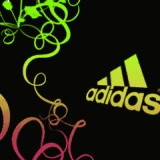 Claudia Patricia de Araujo Alves Lima