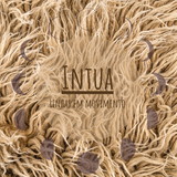 Intua - linhas em movimento.