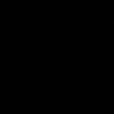 RAIMARA LOPES DOS SANTOS FRANÇA