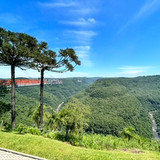 Luiza Avelino Martins