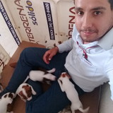 Marco Tulho Domingos Pereira