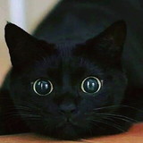 Alcina Bezerra de Almeida